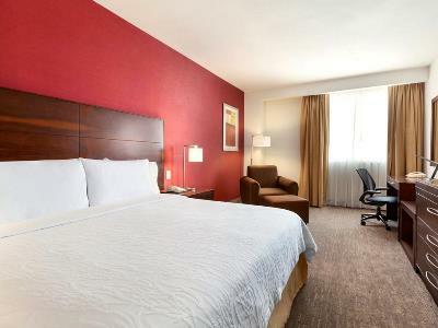 Hilton Garden Inn Querétaro Exteriér fotografie